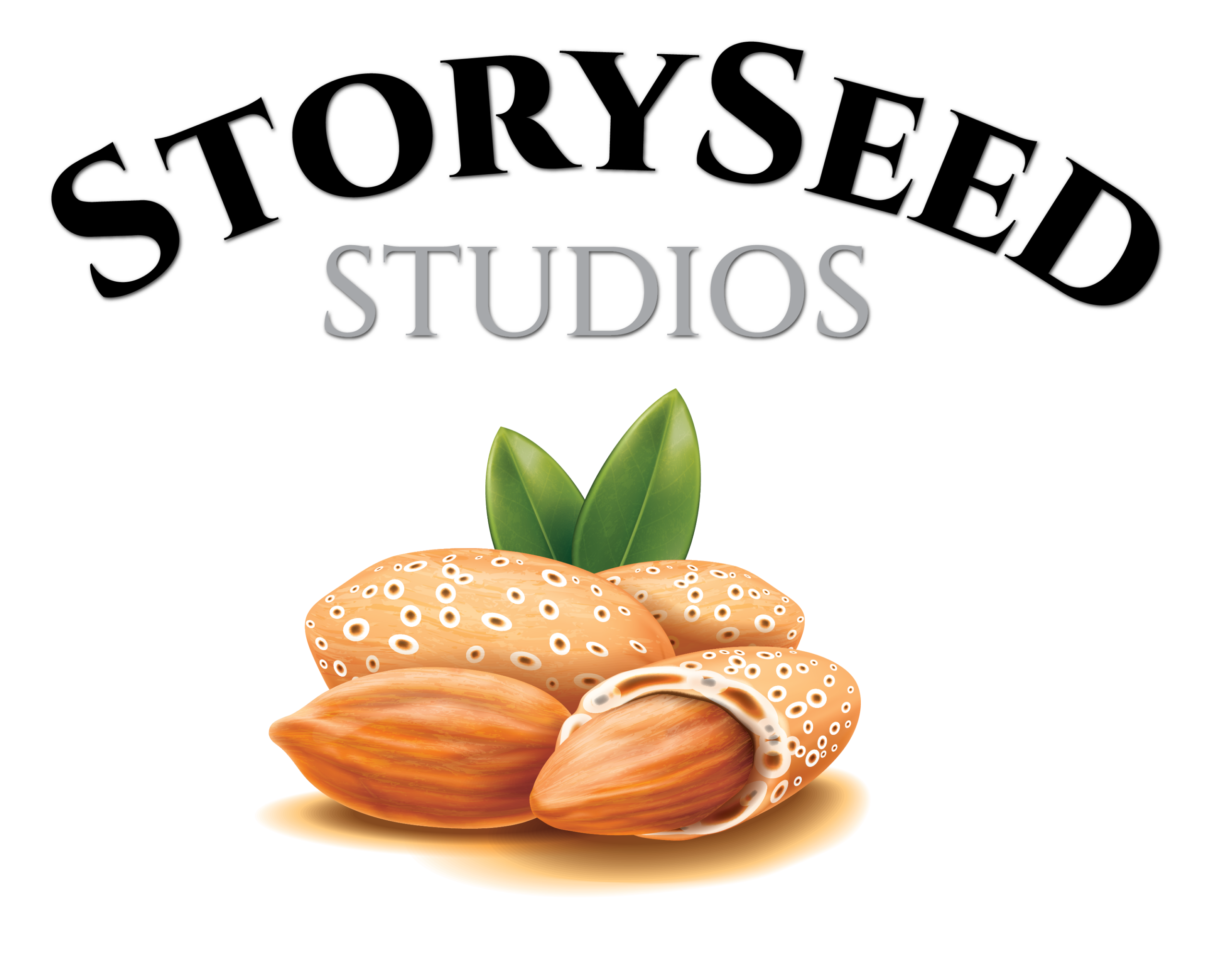 Story Seed Studios